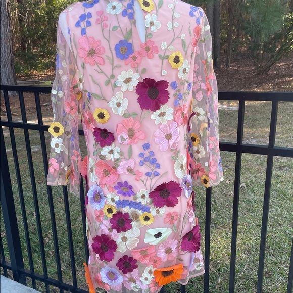 Storia Sheer Dress with Full Length Liner and Floral Embroidery - Picture 8 of 13